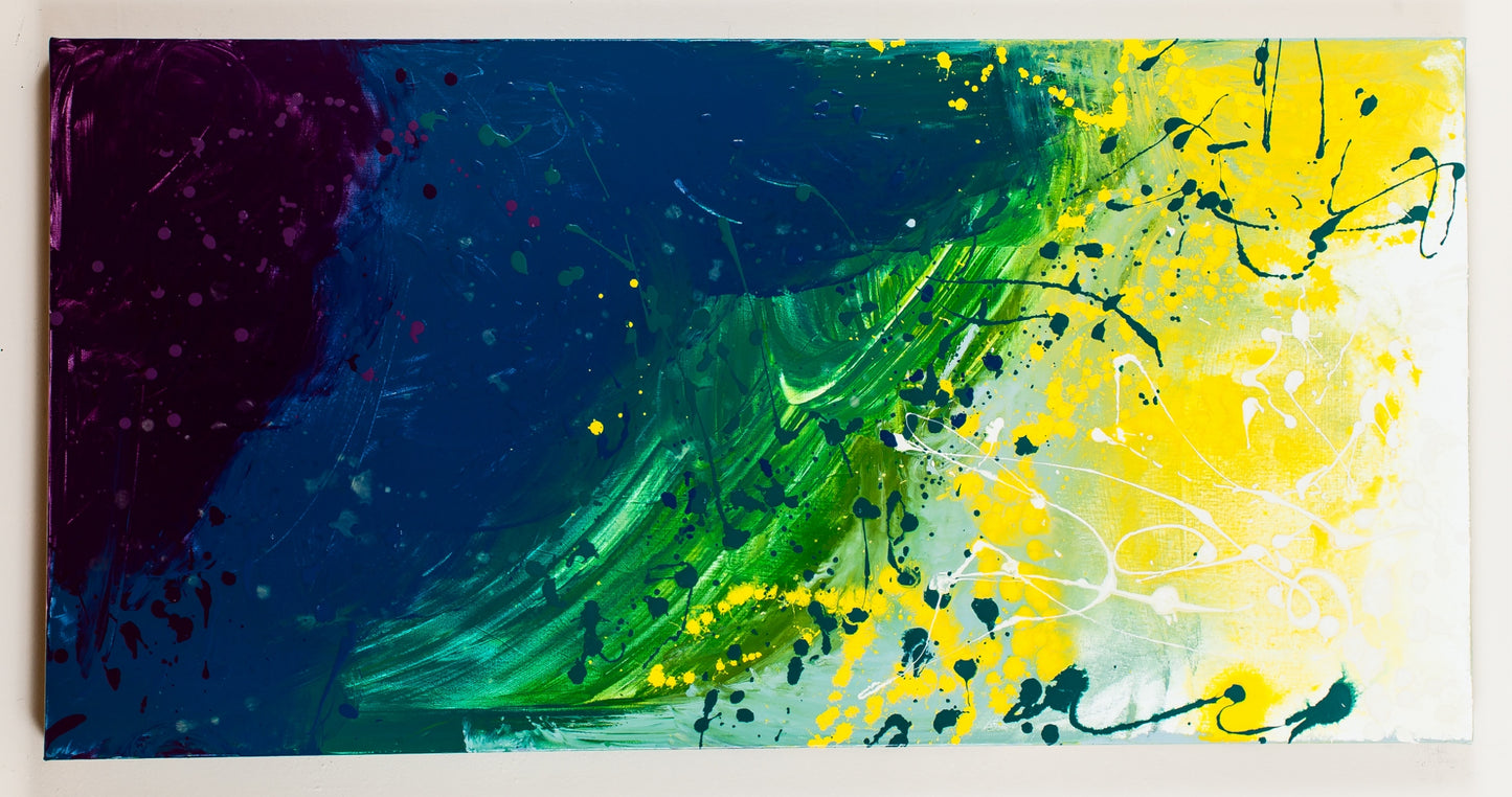Raunchy Interruption - Original Abstract Painting in Austin Texas 24" x 48"