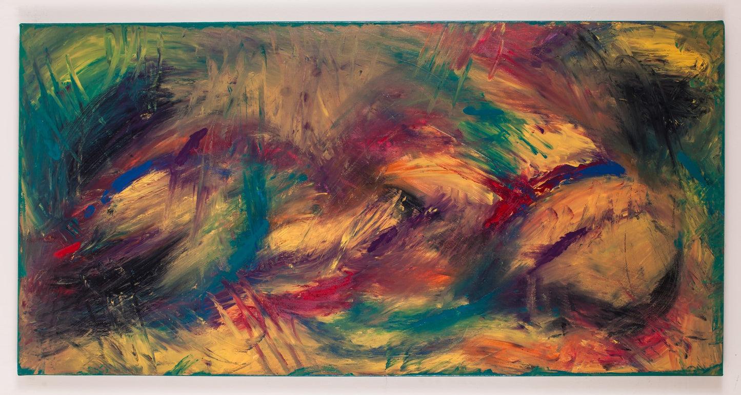 Frantic Fascinations - Original Abstract Painting in Austin Texas 24" x 48"